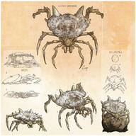 animal artist:enuryn caption rock shield_spider spider // 2048x2048 // 1.5MB // rating:Safe