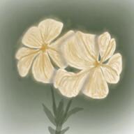 artist:moerchen faery_flower flower green_background marchinn marchinn_2024 plant simple_background spoiler:book2 // 800x800 // 872KB // rating:Safe