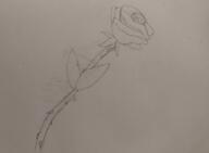 artist:ice black_rose flower marchinn marchinn_2024 plant spoiler:book11 spoiler:volume6 thorns // 745x547 // 264KB // rating:Safe