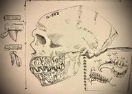 artist:cortz bone character:oc front_view goblin meta:inntober meta:inntober_2020 monochrome notepad sharp_teeth side_view simple_background skull tongue_out // 3199x2284 // 1.6MB // rating:Safe