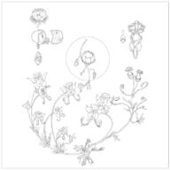 artist:enuryn faery_flower flower meta:tagme monochrome simple_background white_background // 780x780 // 134.7KB // rating:Safe
