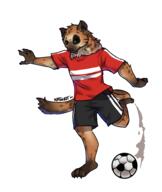 artist:riffthebit character:ekirra_silverfang football // 3178x3762 // 1.9MB // rating:Safe