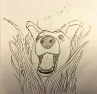 artist:theblondeowl character:mrsha child druid gnoll grass grin head_only looking_up magic meta:inntober meta:inntober_2023 monchrome pencil_art plant prompt3 prompt_magic sharp_teeth simple_background spoiler:book8 spoiler:volume5 text white_background // 1927x1870 // 370KB // rating:Safe